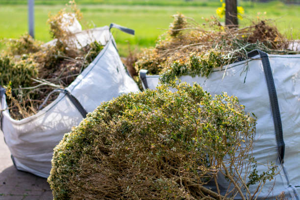 Best Construction Debris Removal  in Alliance, NE